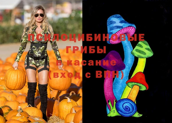 молекула духа Алексеевка